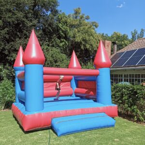 Red and blue standard